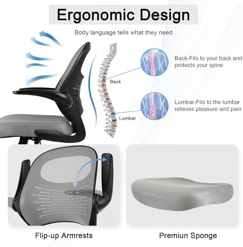 Silla de Oficina Alta para Dib - Ergonomic Office Chair reseña y precio